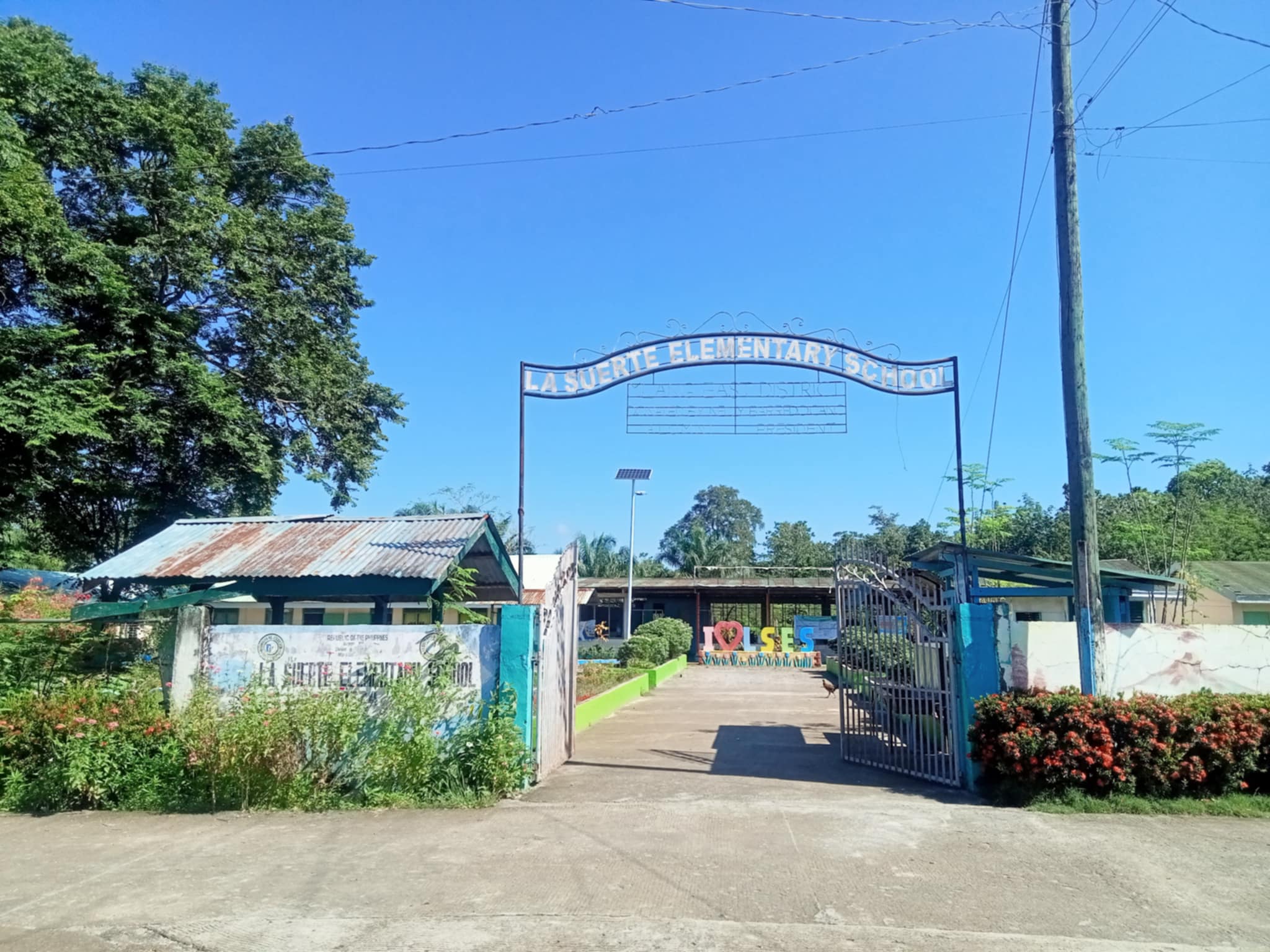 Elementary School